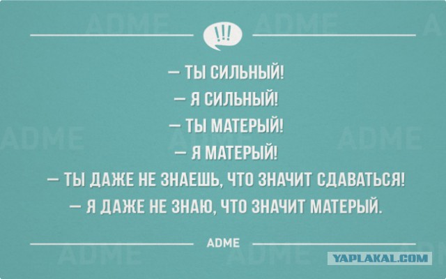 Смешные комментарии из социальных сетей 11.11.2014