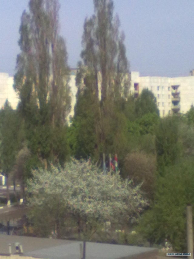 Апрель 2012