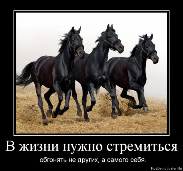 Вы хотите "демов"? часть 2-я