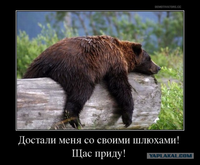 Топ-10 самых горячих порно звезд