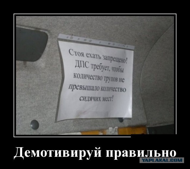 Свежая, утренняя, подборка картинок.