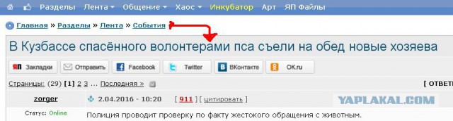 В Кузбассе спасённого волонтерами пса съели на обед новые хозяева