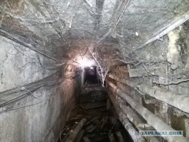 Чем реже сантехник спускается в подвал, тем спокойнее его нервы