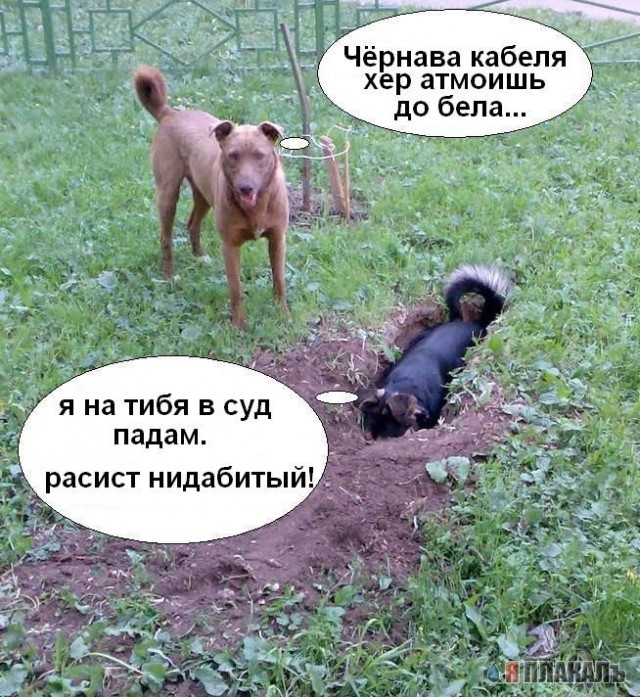 Фотожаба: да здесь где-то недалеко!