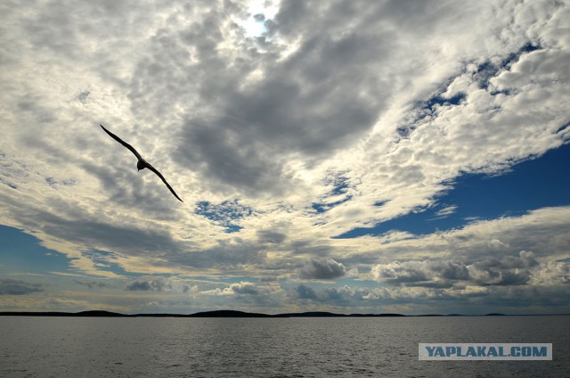 Карелия. Белое море.