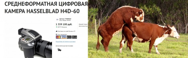Как Антонио Бандерас Анну Седокову снимал