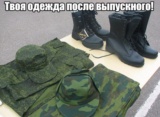 Смешные картинки
