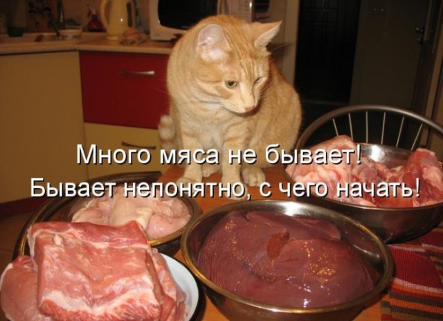 Просто картинки