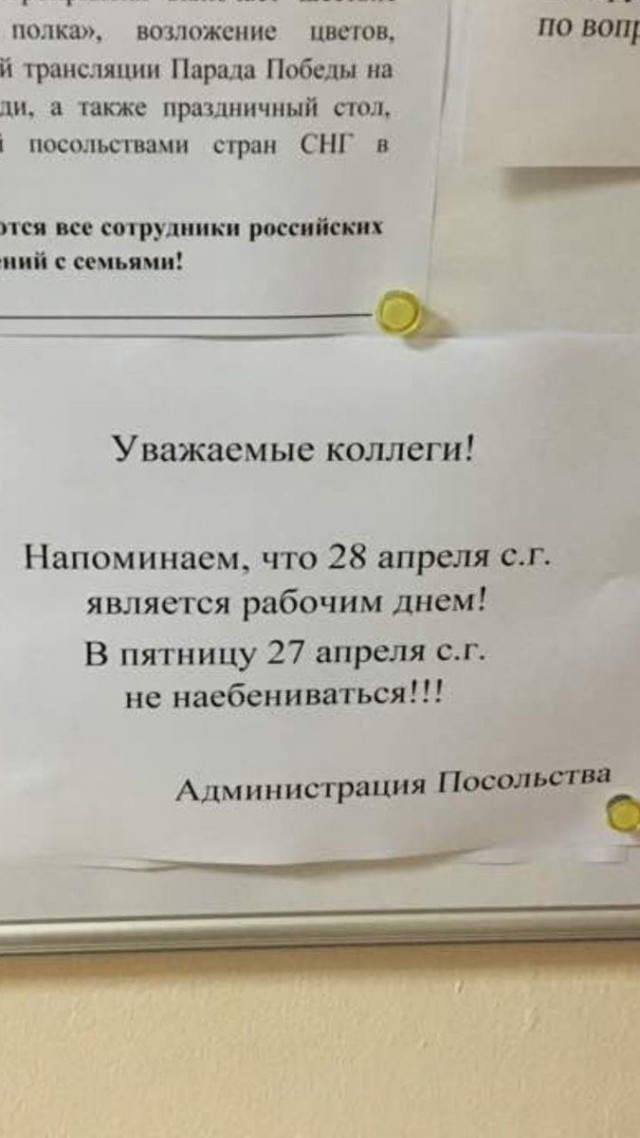 Подборка интересных и веселых картинок