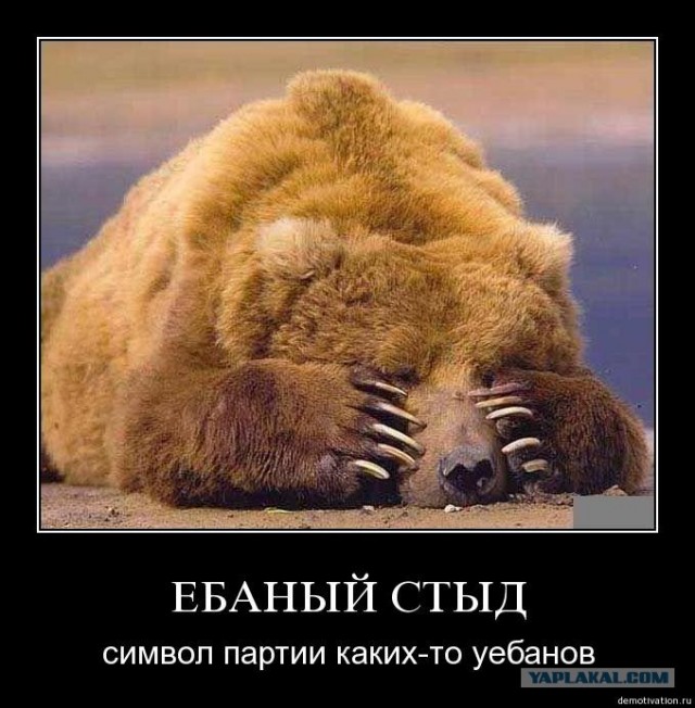 Поедем, Топтыгин, кататься!