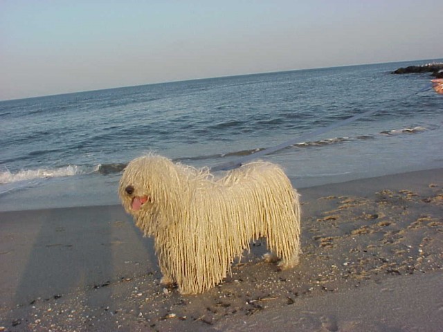 Две мочалки в уголке