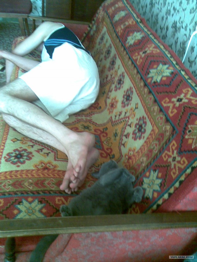Котовторник 29.01.2013