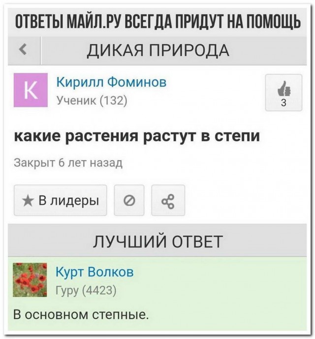 Немного картинок для настроения