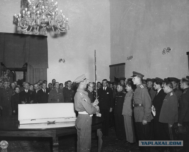 Очередное окно Овертона:  решающую роль в войне сыграла не Красная Армия.