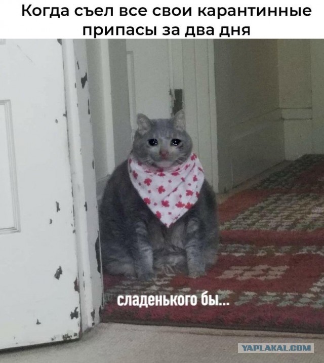 Бредзона 07.04.2020