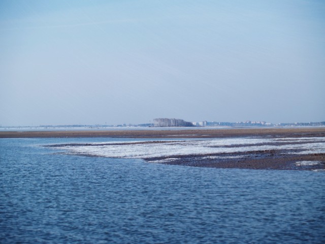 Прогулка по дну Обского водохранилища