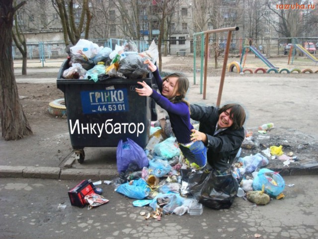 Жабим!