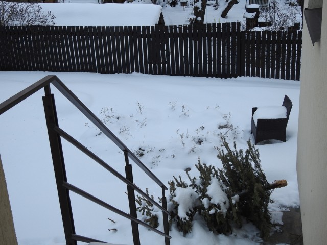 #ДРКулинарии2021! Каре Ягненка в стиле ‘прибой и земля’ (surf ’n’ turf)