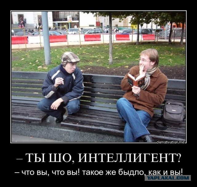 «Возможно твой кругозор расшириТЬся». Во Владимирской области чиновница посоветовала депутату «взять и прочитать закон»