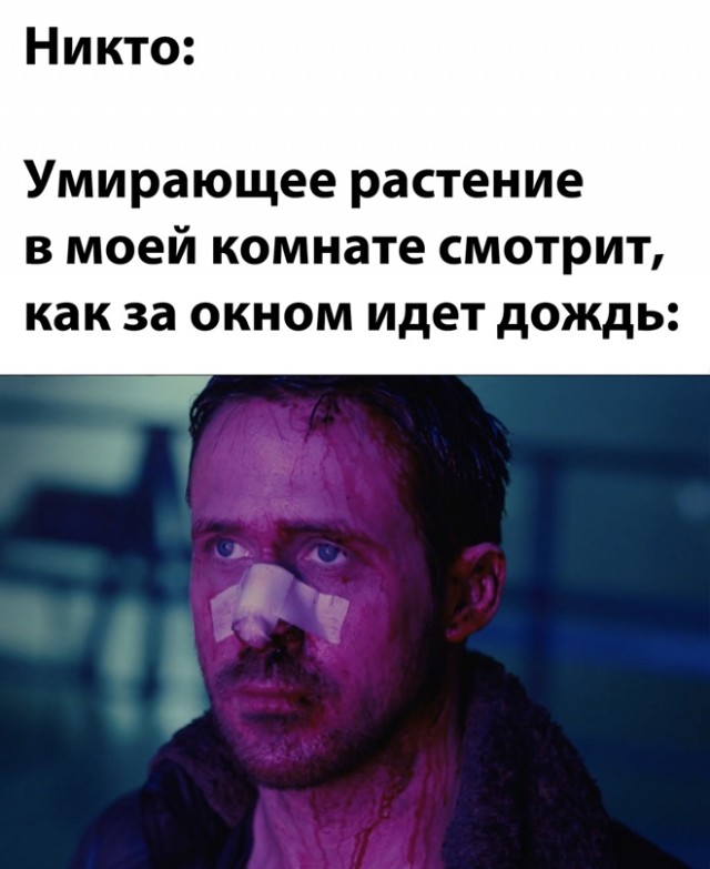 Весёлый полтишок 26.03