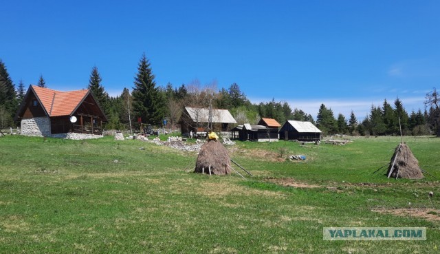 В Сербию на майские. Сложное, но увлекательное путешествие в пандемию