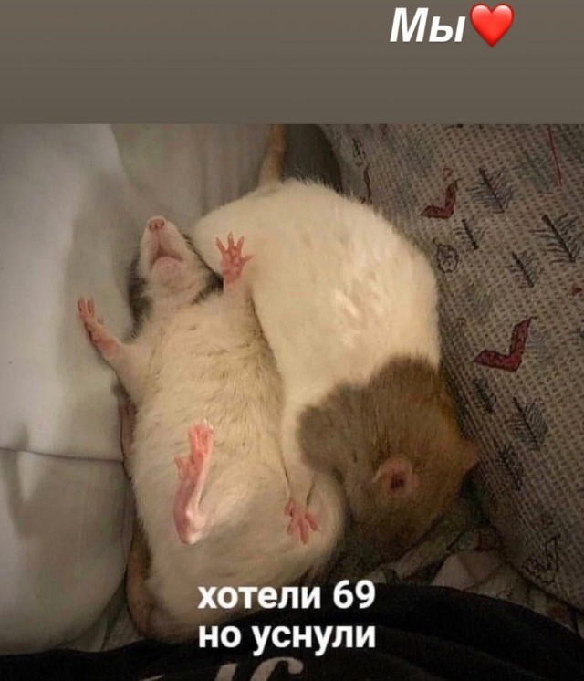 Мемы про секас #3