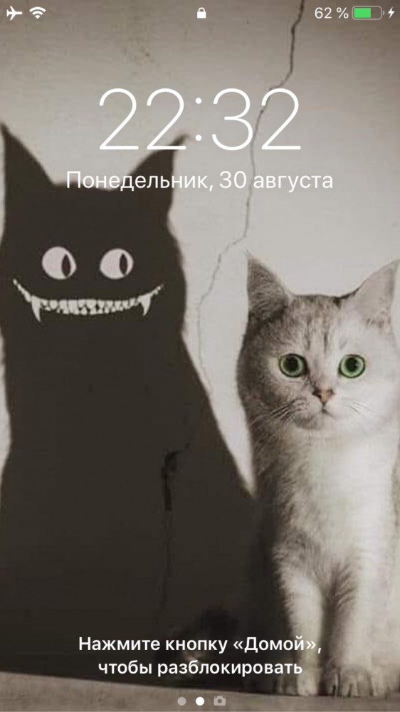 У кого что стоит на заставке телефона?