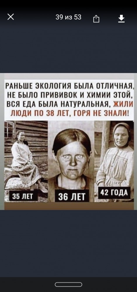 Всяческие картинки 02.11.2021