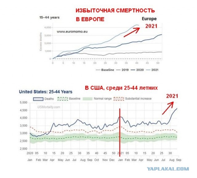 Ученые сравнили смертность от коронавируса у привитых и непривитых