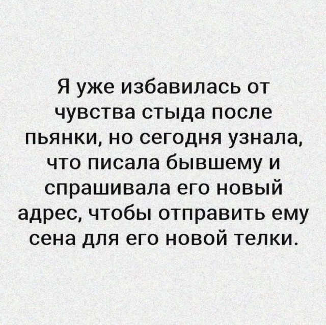 Всяческие картинки 24.12.2021