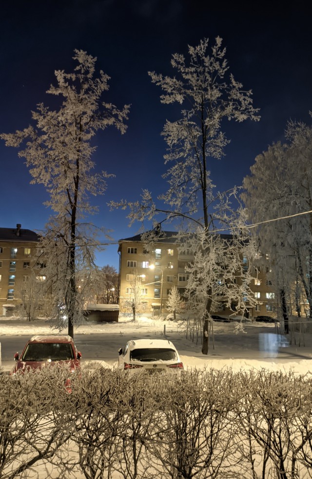 Первое января глазами непьющего человека