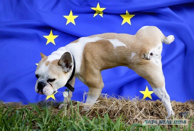 Европарламент не будет пускать в свои здания дипломатов из РФ и Белоруссии