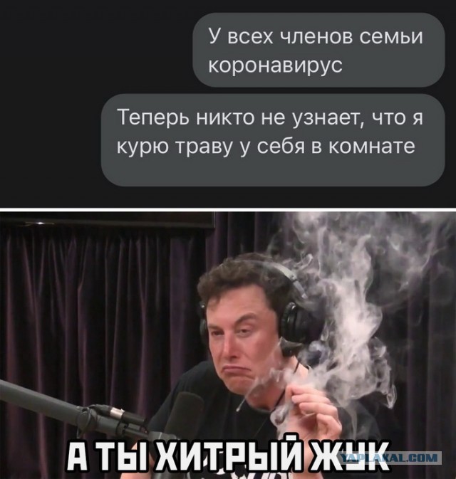 Пандемия. Коронавирус и съехавшие крыши. Россия и мир. Часть 32.