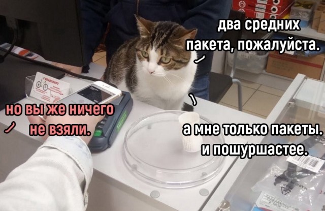 Так себе картинки 26.05.22