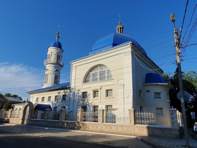 Астрахань – город «мёртвых» собак