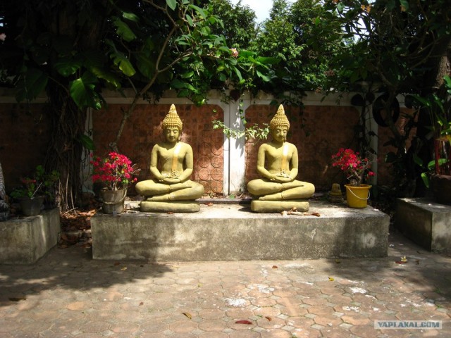 Такой разный остров Самуи