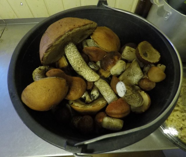 Красоты ямальской тундры