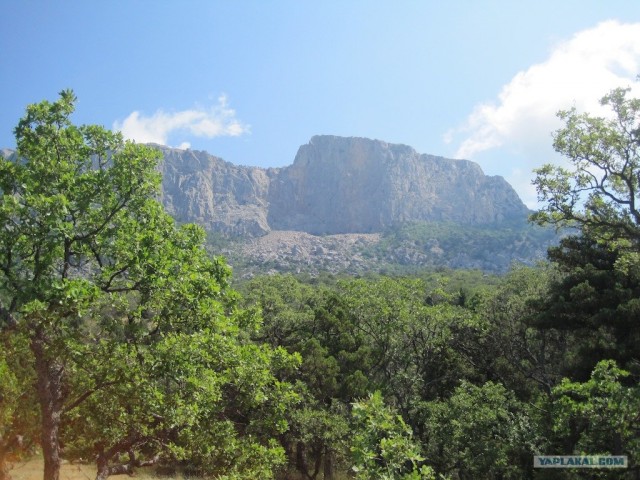 Южный берег Крыма