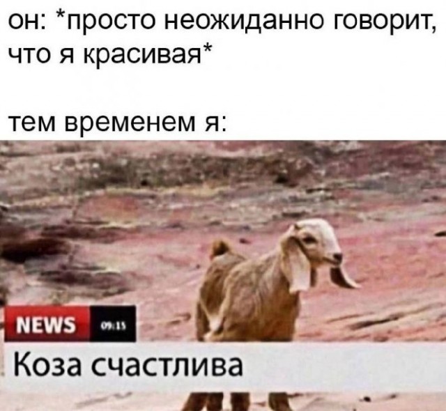 Картинки и мемы, всем хороших выходных