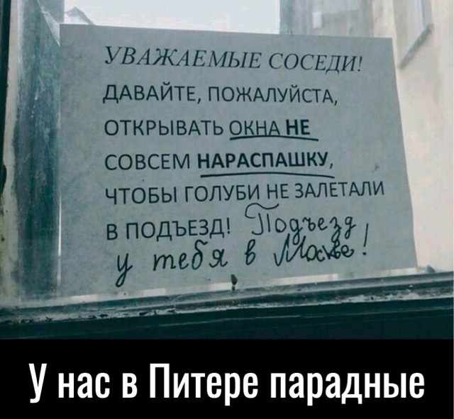 Весёлый полтишок 24.11.22