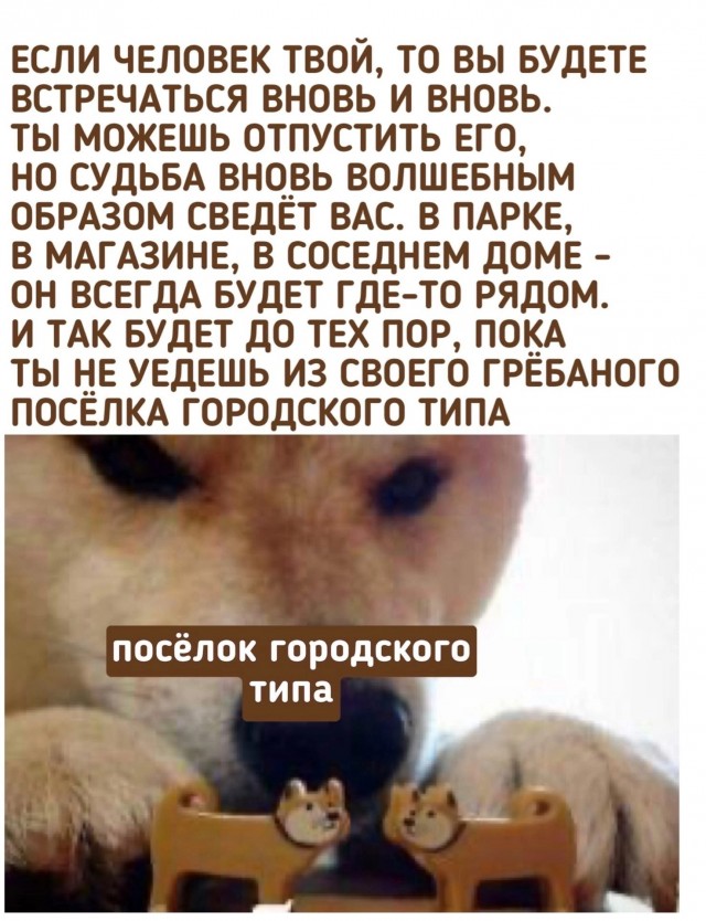 О том, как важно здороваться