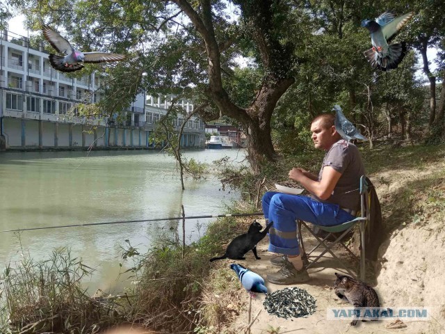Фотожаба про рыбака "Улов"