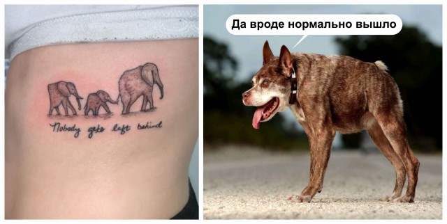 Что не так?