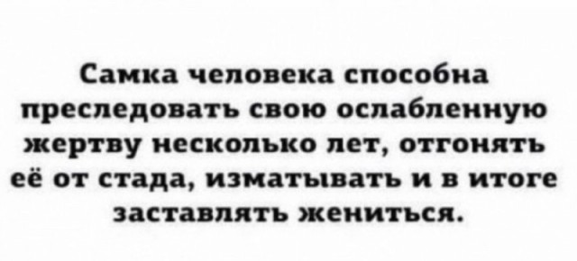 Картинки и мемы для настроения - 125