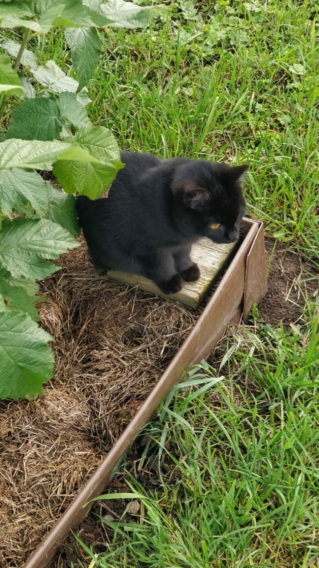 Подрос за 10 месяцев