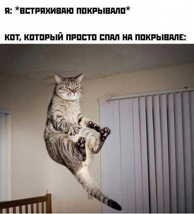 Подборка картинок 04.05.2023