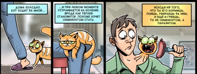 Забавные комиксы о реалиях жизни с кошкой