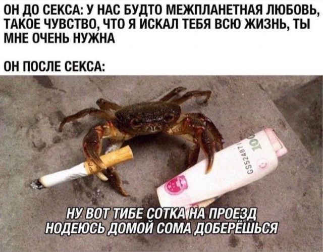 Картинки весёлые, вроде