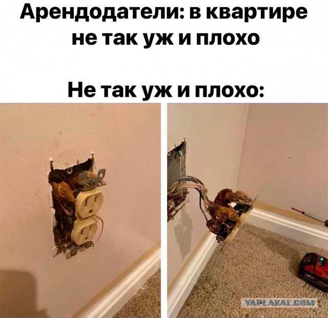 Так себе картинки 17.06.23