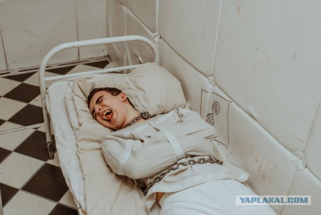 В Санкт-Петербурге началась встреча президентов Владимира Путина и Александра Лукашенко
